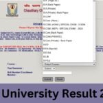 CCS University Result 2025 (UG PG SEM) www.ccsuniversity.ac.in Result 2025
