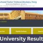 Durg University Result 2025