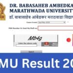 BAMU Result 2025