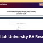 Barkatullah University BA Result 2025
